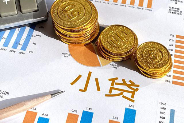 东莞信用小额贷款正规的